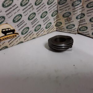 540004  SPEEDO DRIVE WORM GEAR NOS